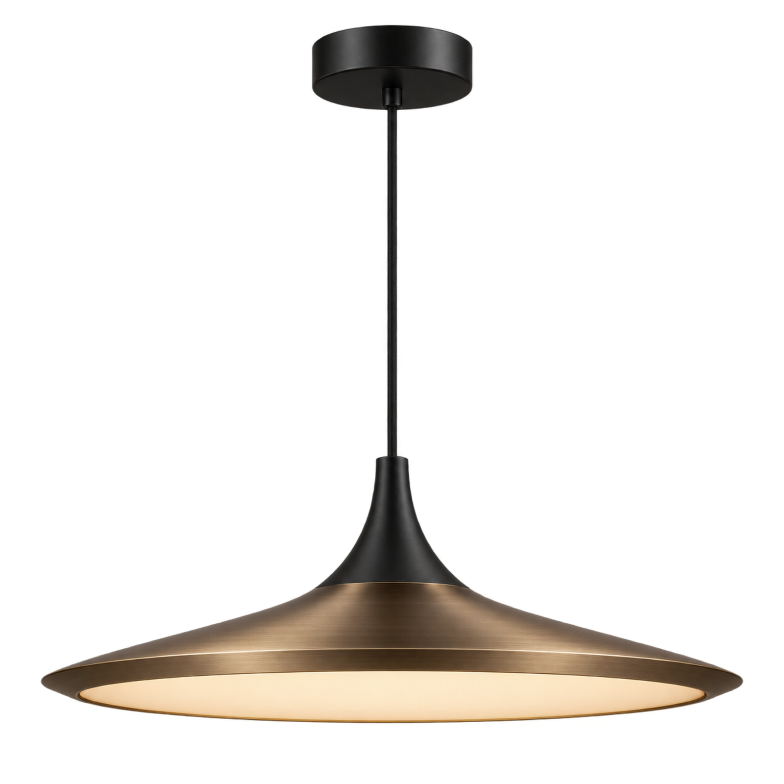 Black and bronze pendant light